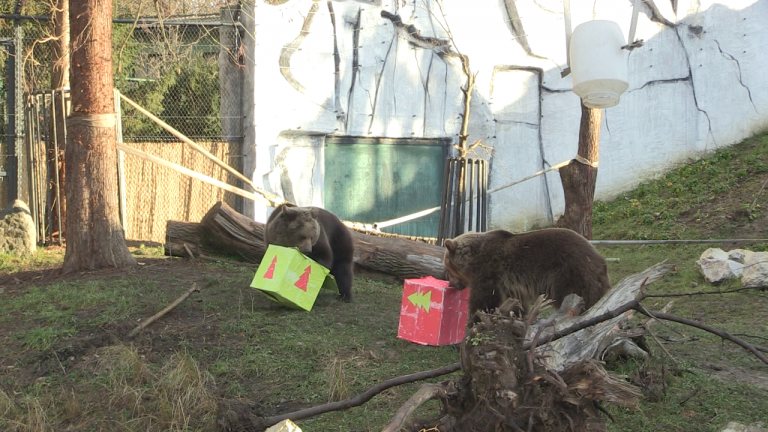 Djed Božićnjak u posjetu Zoološkom vrtu Grada Zagreba
