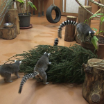 vlcsnap-2023-01-13-15h59m03s184