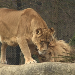 vlcsnap-2023-01-13-16h03m49s731