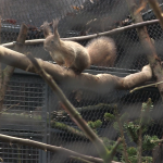 vlcsnap-2023-01-13-16h07m45s641