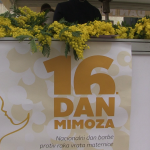 vlcsnap-2023-01-23-15h45m26s221