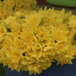 vlcsnap-2023-03-31-11h52m41s334