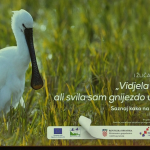 vlcsnap-2023-04-14-11h33m45s628