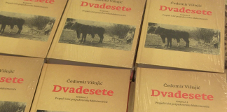 U Novinarskom domu predstavljena knjiga Čedomira Višnjića “Dvadesete”