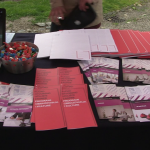 vlcsnap-2023-05-12-15h18m23s010