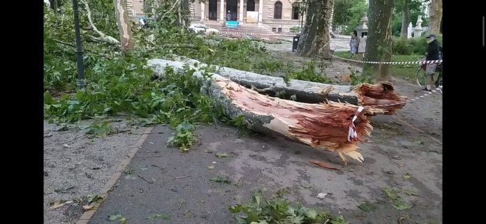 WhatsApp Image 2023-07-20 at 16.32.16