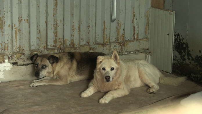 vlcsnap-2023-07-27-14h35m52s842