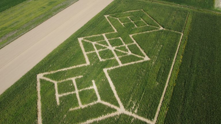 Kukuruzni labirint u Dubrovčaku Lijevom kod Ivanić-Grada