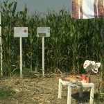 vlcsnap-2023-08-27-23h52m42s400