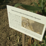 vlcsnap-2023-08-27-23h53m23s210