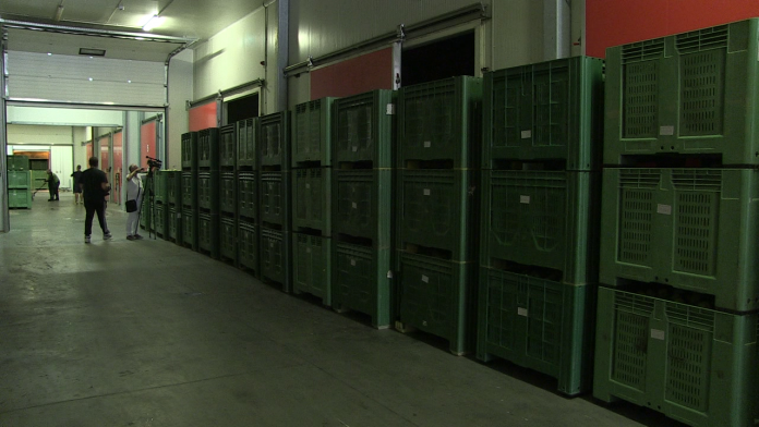 vlcsnap-2023-09-07-14h00m59s285