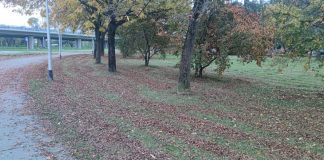 ČITATELJ ZAGREBANCIJE: Kosi se trava, koje gotovo da i nema, a lišće se zanemaruje!