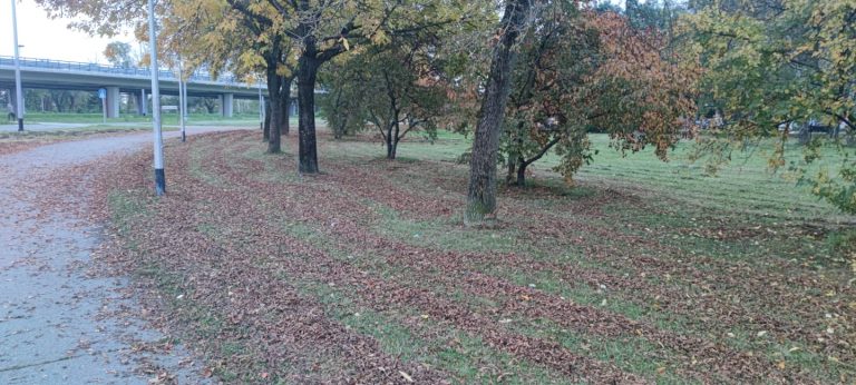 ČITATELJ ZAGREBANCIJE: Kosi se trava, koje gotovo da i nema, a lišće se zanemaruje!