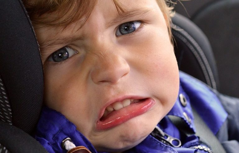 Udruga RODA najavila besplatan pregled autosjedalica