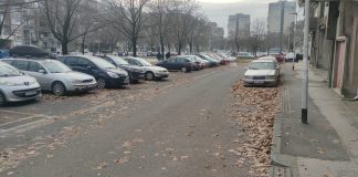 Jesu li u Gradskoj upravi napokon shvatili da je lišće nužno maknuti s ulica?