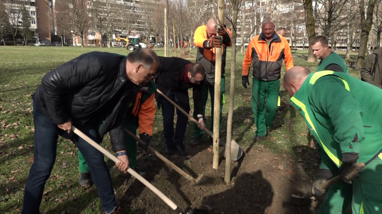 U sklopu akcije ozelenjavanja Zagreba posađeno 5000. stablo