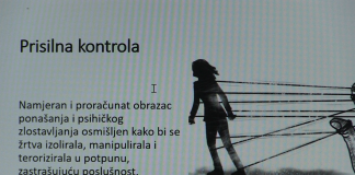 Procjena i upravljanje rizikom u slučajevima partnerskog nasilja nad ženama i nasilja u obitelji