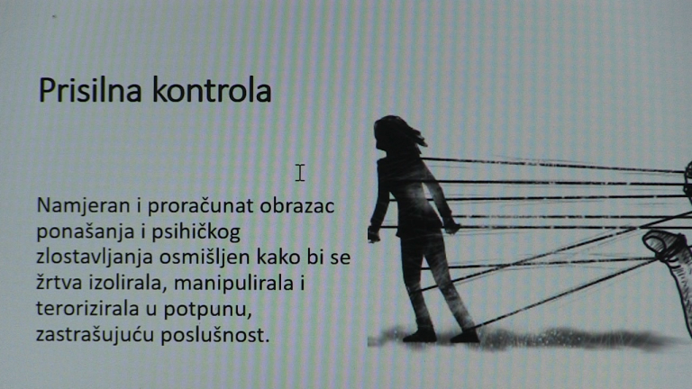 Procjena i upravljanje rizikom u slučajevima partnerskog nasilja nad ženama i nasilja u obitelji
