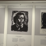 vlcsnap-2024-03-18-13h52m38s500