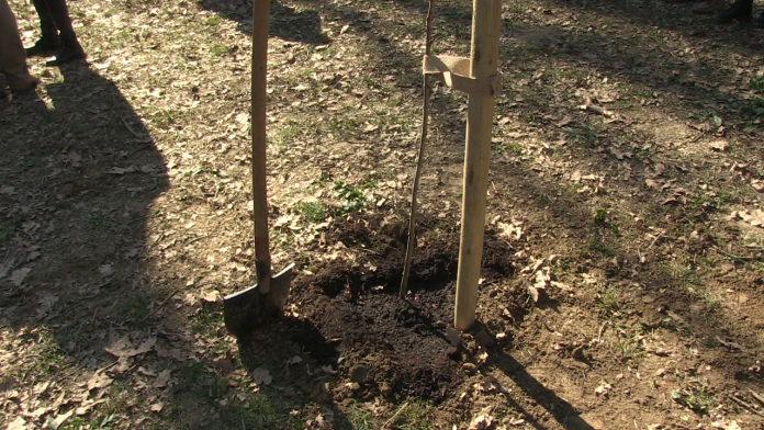 vlcsnap-2024-03-28-14h37m01s301