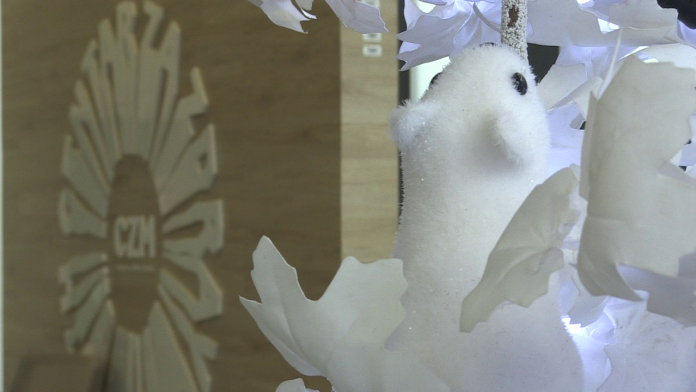 vlcsnap-2024-04-04-14h05m23s062