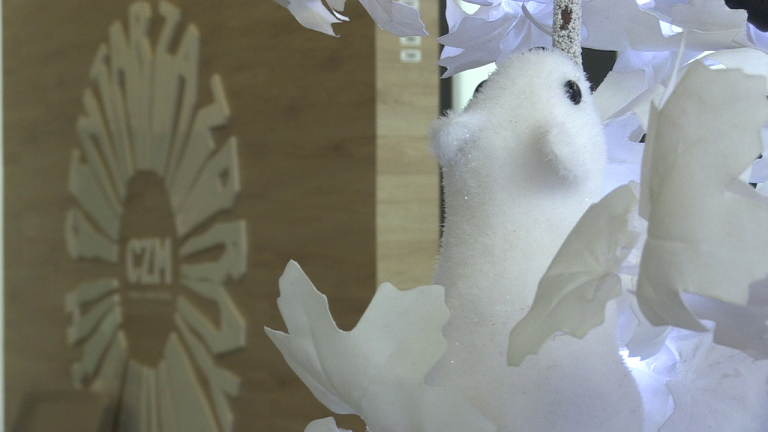 U Centru za zdravlje mladih otvoreno Savjetovalište za poremećaje prehrane djece