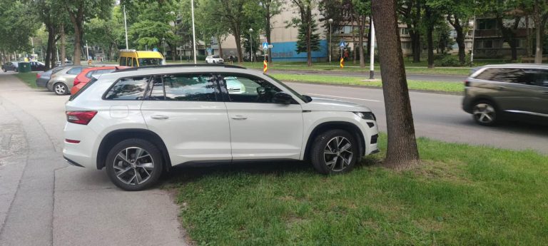 PARKIRAM KAO INTELEKTUALAC: “Mi iz Travnog ne parkiramo na travu…”