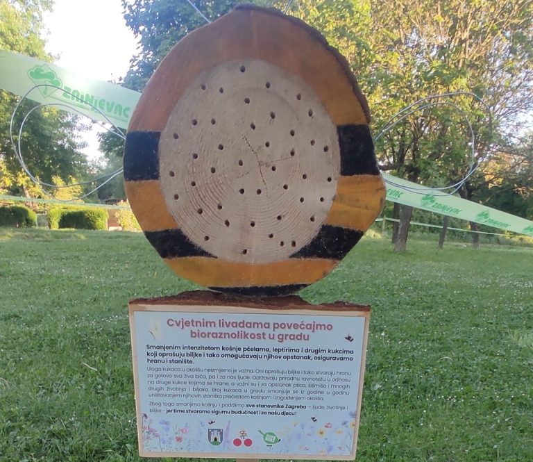 Grad Zagreb kreće s projektom Cvjetnih livada za oprašivače