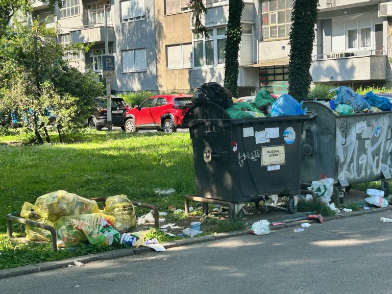 Tko je kriv za razbacano smeće: broj odvoza, manjak kontejnera ili neodgovorni građani?