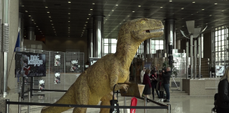 Noć knjige 2024.: Ovogodišnja tema pod nazivom ‘Kad je prizma kataklizma: knjige za izazovna vremena’