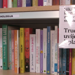 vlcsnap-2024-06-13-14h36m30s289