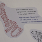 vlcsnap-2024-07-01-13h40m15s322