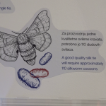 vlcsnap-2024-07-01-13h42m58s715