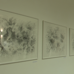 vlcsnap-2024-07-04-13h37m42s263