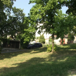 vlcsnap-2024-07-11-12h06m28s277