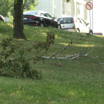 vlcsnap-2024-07-11-12h06m35s026