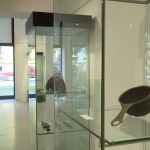 vlcsnap-2024-07-16-13h25m09s886