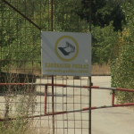 vlcsnap-2024-07-16-13h34m39s531