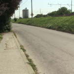 vlcsnap-2024-07-16-13h42m36s090 (1)