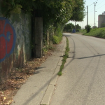 vlcsnap-2024-07-16-13h42m43s859