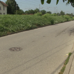 vlcsnap-2024-07-16-13h42m54s357