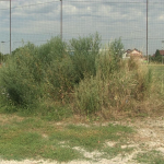 vlcsnap-2024-07-16-13h43m17s523