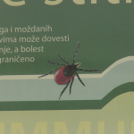 vlcsnap-2024-07-22-11h56m05s717