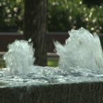 vlcsnap-2024-09-04-14h32m55s583