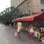 vlcsnap-2024-10-09-14h18m33s212