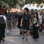 vlcsnap-2024-10-09-14h20m33s852