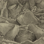 vlcsnap-2024-10-14-17h33m48s346