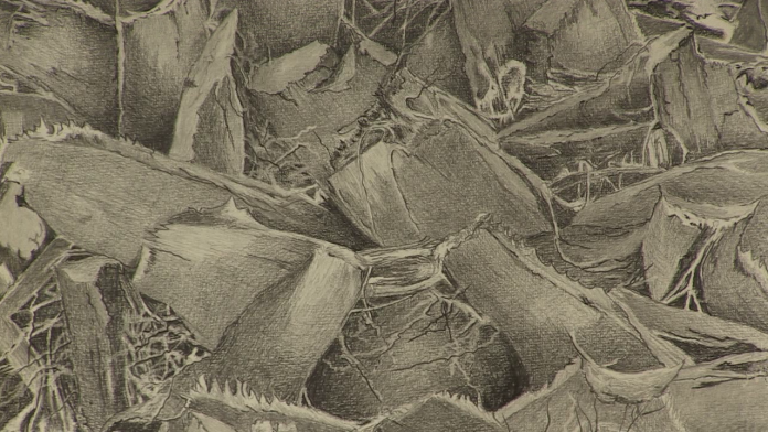 vlcsnap-2024-10-14-17h33m48s346