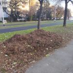 PHOTO-2024-11-26-11-41-20