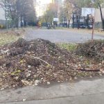 PHOTO-2024-11-26-11-41-21